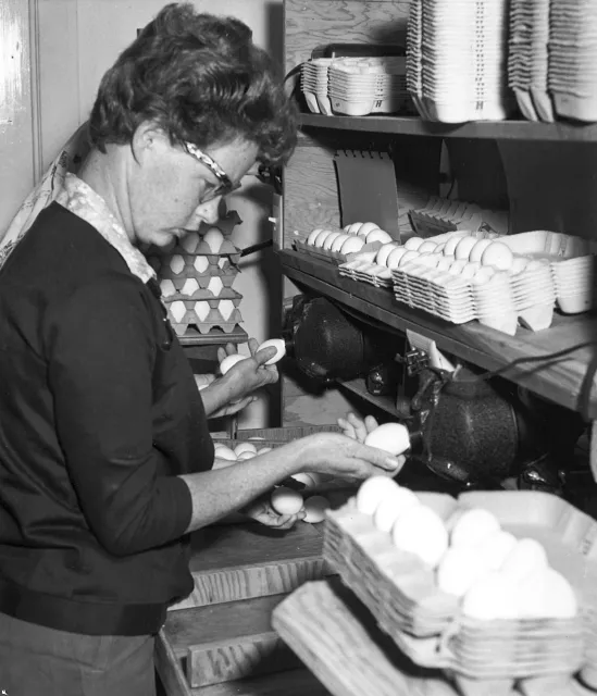 Egg vendor examining eggs