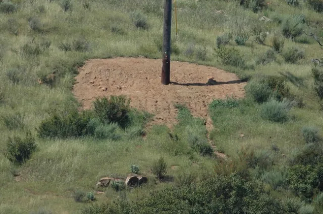 5 Strong herbicides around the pole in nature reserve