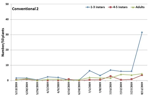 Lygus-seasonal occurrence-Conventional 2