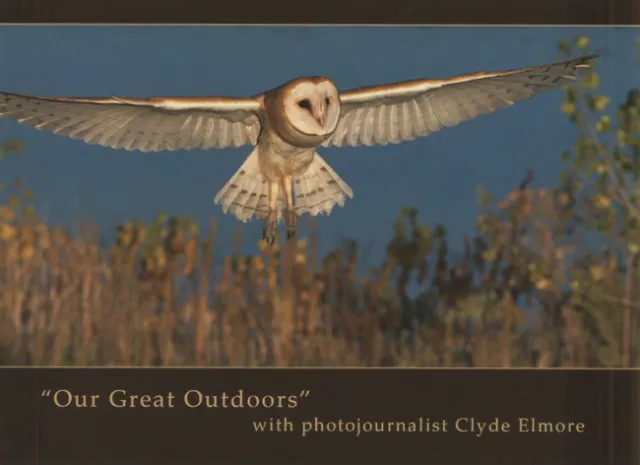 owl photo by Clyde Elmore