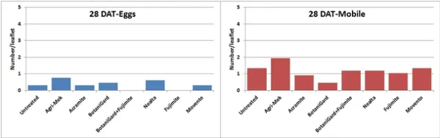 2012 Pred mites-28DAT