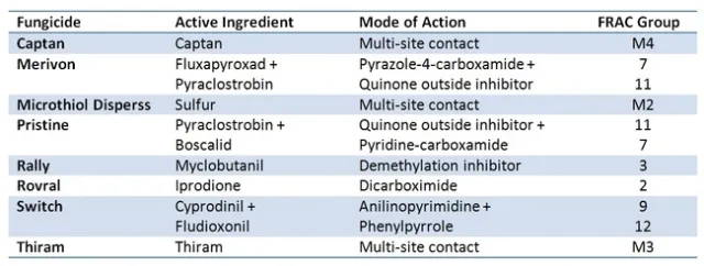 Fungicides evaluated