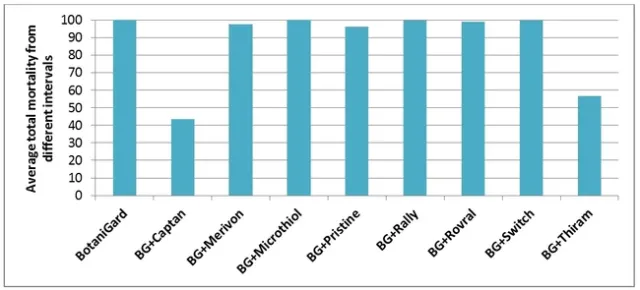 Average total mortality at different time intervals