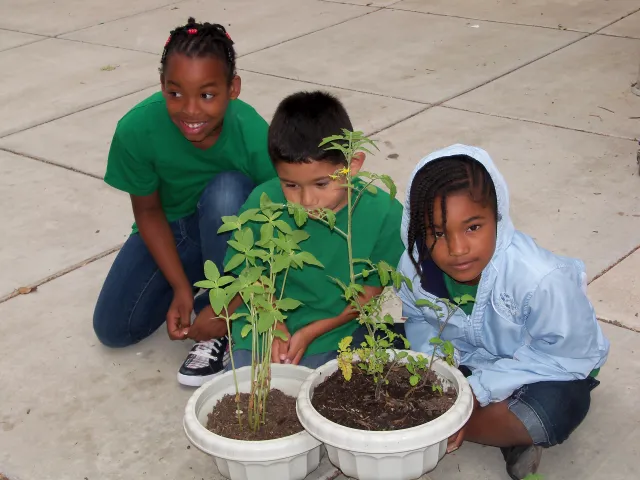 Kids Planting