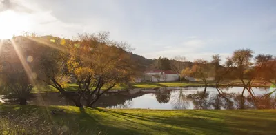 landscape hi_res_cropped