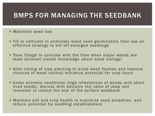 CWSS 2015 SEEDBANKS SOSNOSKIE 10