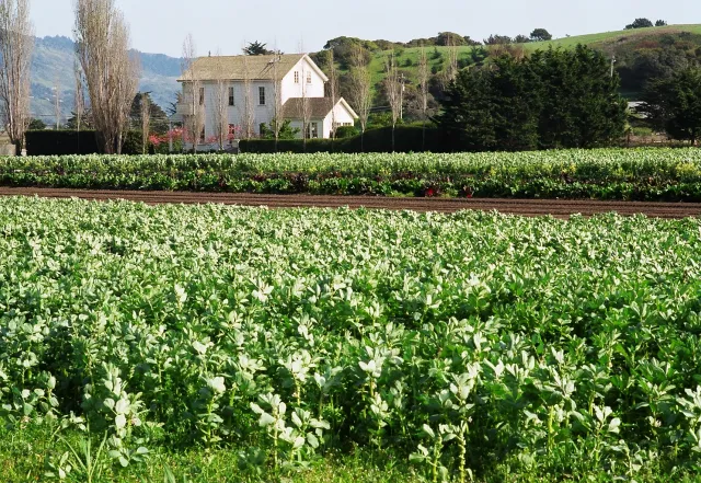 Star Route Farms, 40 years in organic operation