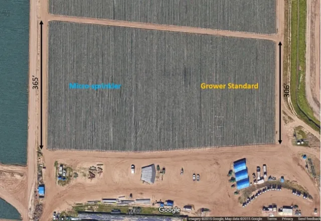 1 Experimental field