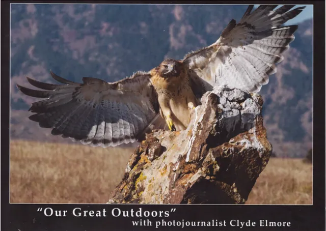 Photo from Clyde Elmore's 