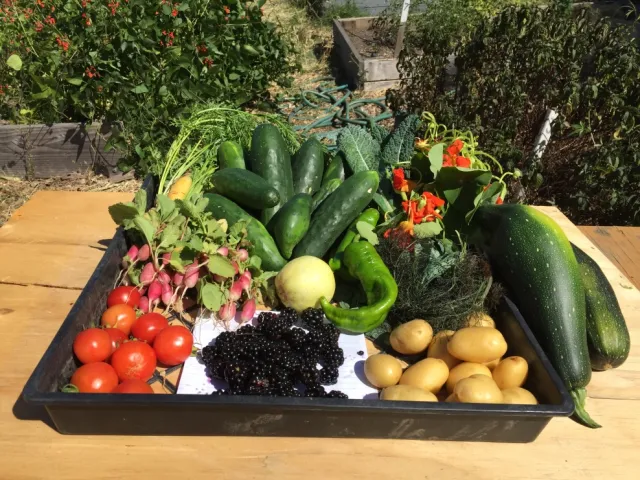 partners forum produce