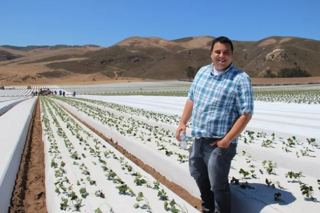 Chris Jenkins, Driscoll's