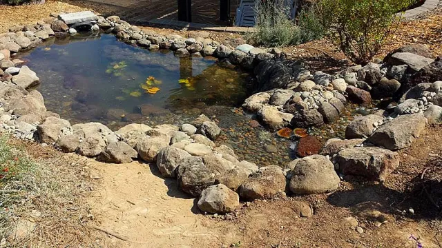 Completed pond from above (click to enlarge)