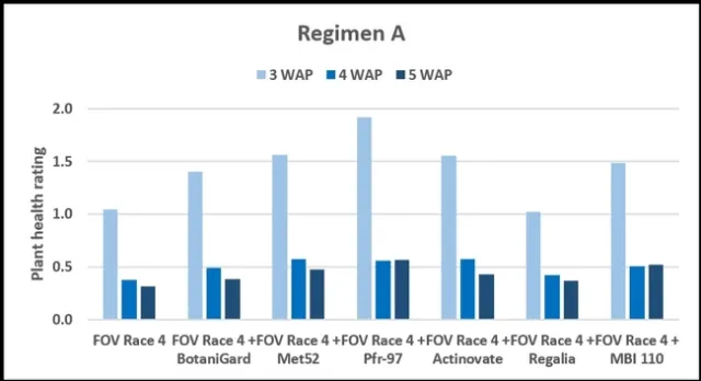 Cotton-Fusarium-Beneficial microbes-Fig. 1
