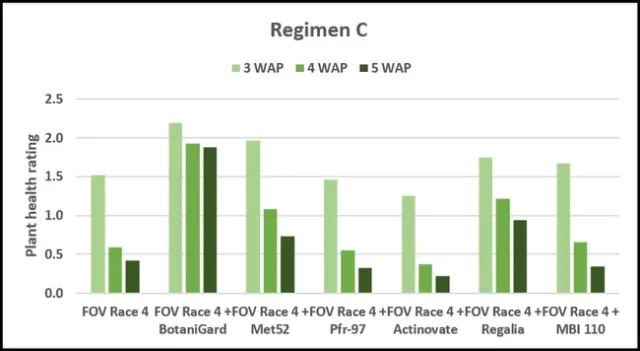 Cotton-Fusarium-Beneficial microbes-Fig. 3