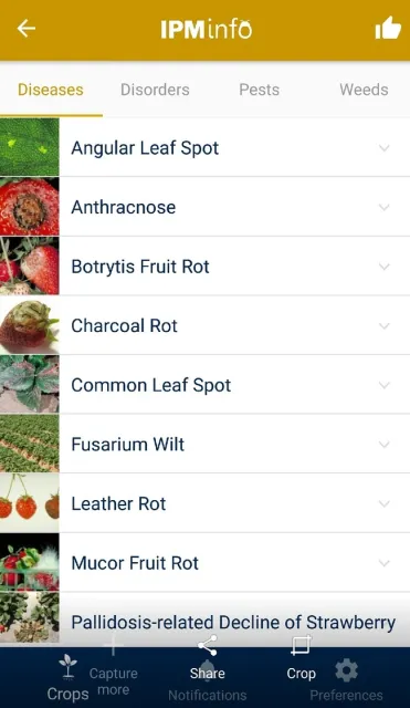 Disease-list