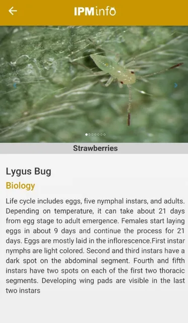 Pest-biology