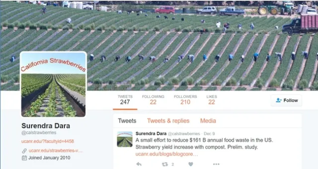 Twitter-@calstrawberries