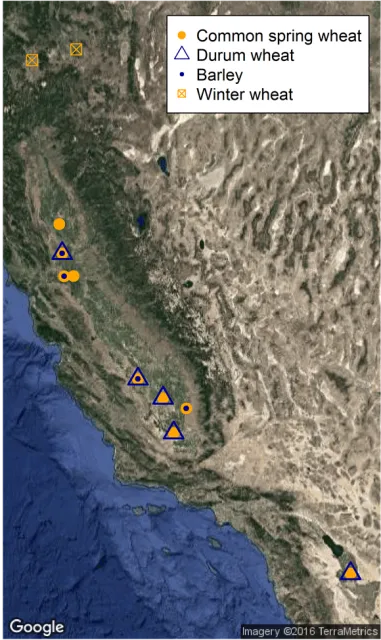 2016-17 Fall-planted small grain variety testing locations