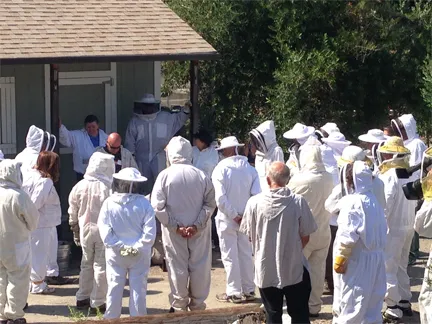 Bee Wrkshop Image-LCorkidi_6x4-5x72