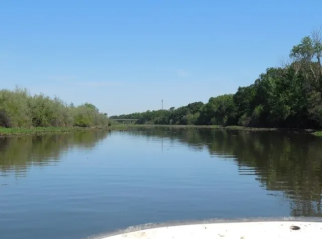 Snodgrass Slough after mechanical removal of waterhyacinth