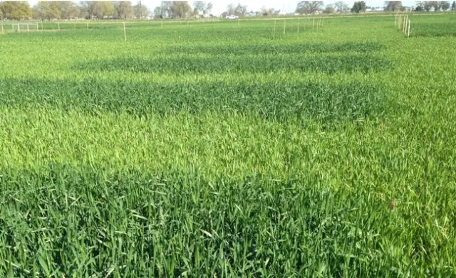 Plus minus N EJoint 14l15