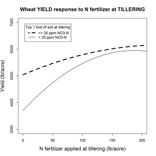Tiller Yield N response SoilNitrate20ppm