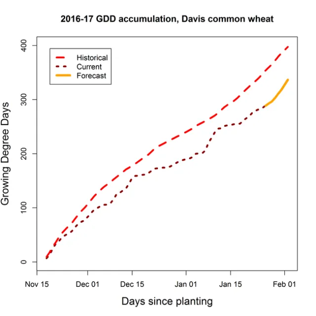1l28 Davis Common GDD