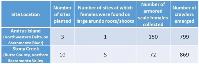 Site survey results - armored scale establishment