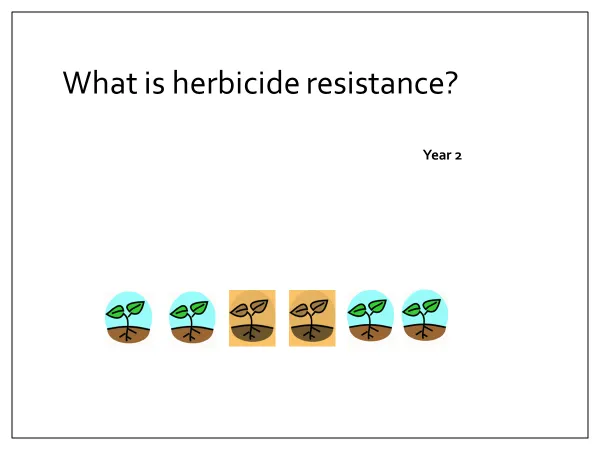 Year 2, Beginning of season