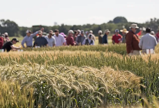 2017 FieldDay (photo credit: E. Kilmartin)