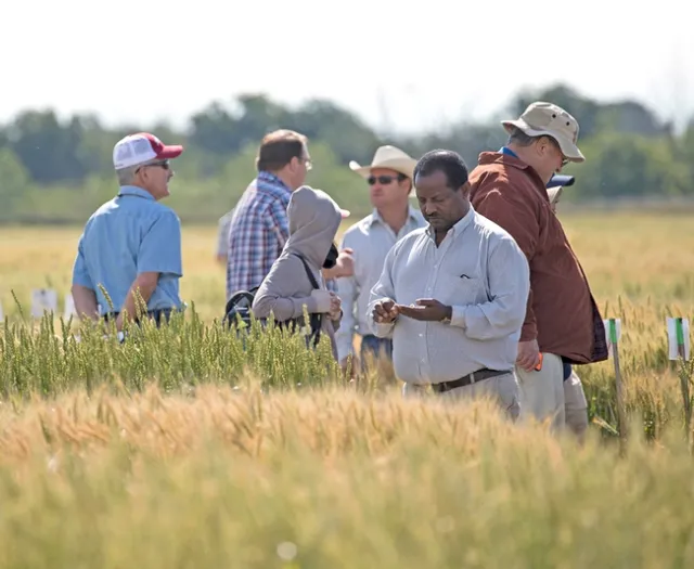 2017 FieldDay (photo credit: E. Kilmartin)