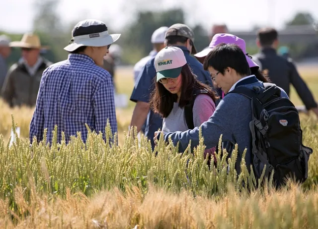 2017 FieldDay (photo credit: E. Kilmartin)