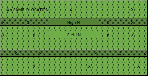 In Season N Reference