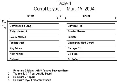 carrot6