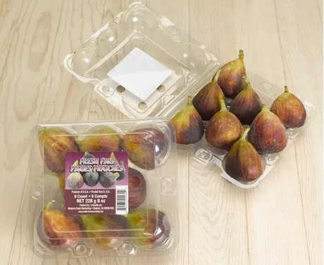 fresh fig clamshell