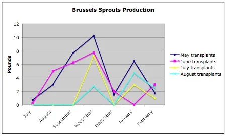 Line graph showing Brussels sprouts production by month, with distinct lines for May, June, July, and August transplants, indicating varying production levels from July to February.