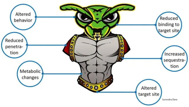 Insecticide resistance mechanisms