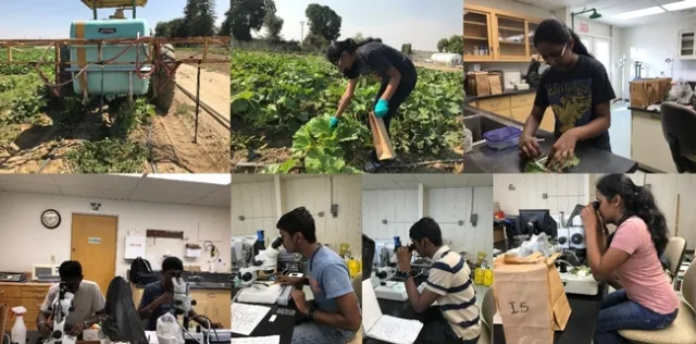 Spraying, sampling, and counting