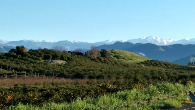 Lindcove REC Feb 2017