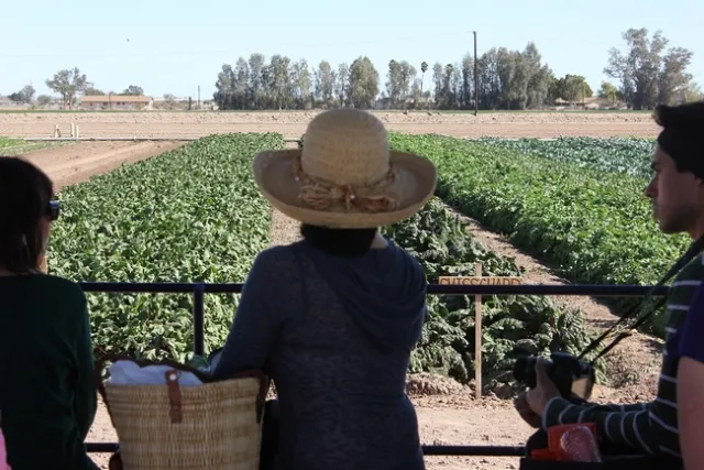 Visitors on hay wagon ride
