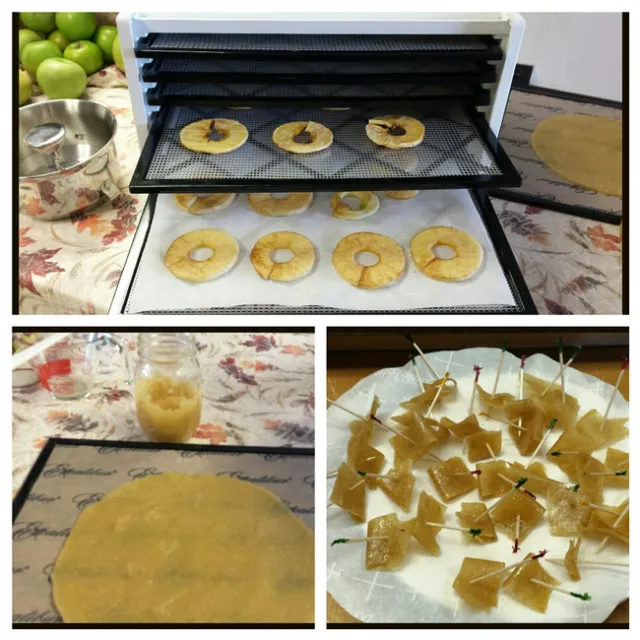 Apple rings.jpg resized[14571]