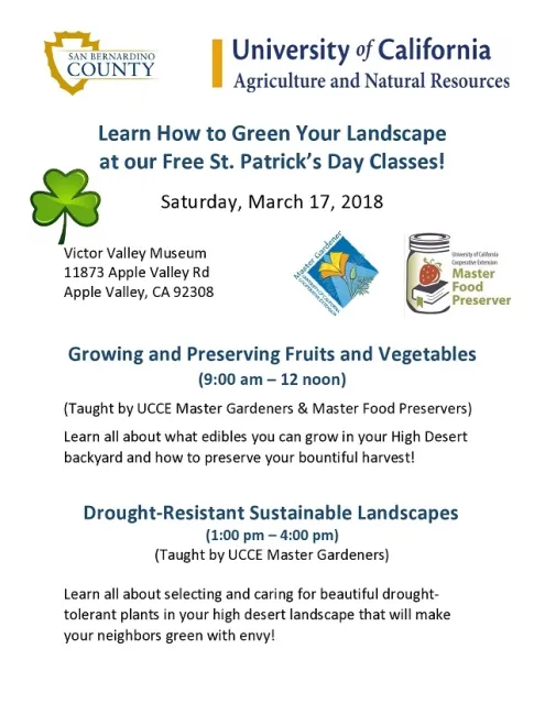 MG apple valley flyer march 17 2018