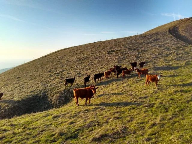 IMG 20180123 164339377 HDR