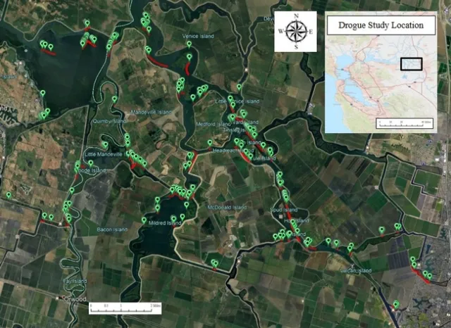 Figure 4. All the drift study runs in the Sacramento-San Joaquin Delta, June 2016-February 2018. The red lines show the course that each GPS tracker took and the green points show where they stopped for a period of time.