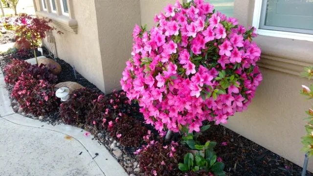 Spring allergens abound