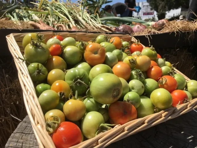 Reunion de miembros de la Iniciativa Alimentaria Global del 2018.