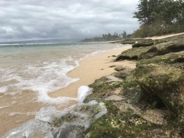 Mark's happy place (Honolulu, Hawaii)