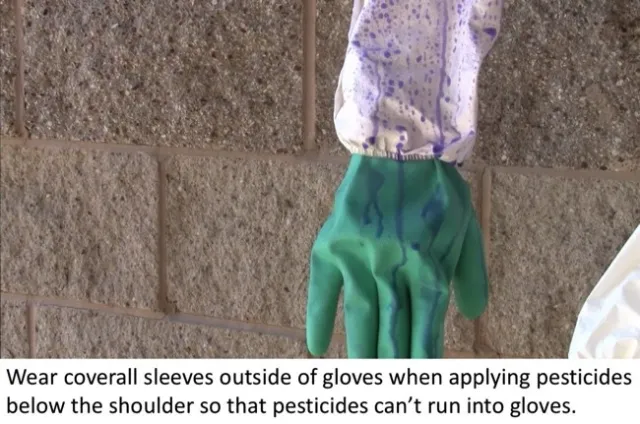 Tips from PPE Course