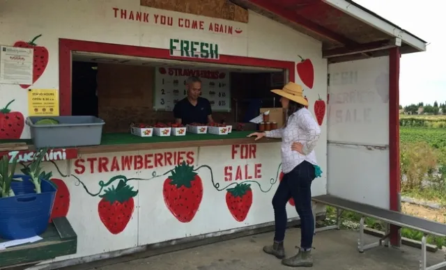 Nathan Punh (izquierda), habla con la asesora de UCCE, Margaret Lloyd, quien trabaja con cerca de 60 granjas Mien en el &aacute;rea de Sacramento.