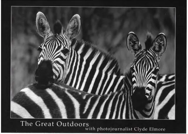 Postcard for Clyde Elmore's 2018